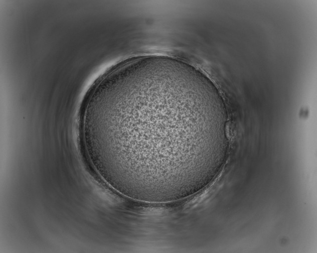 X0000101140342200807110948