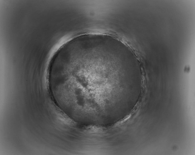 X0000101140343200807110948