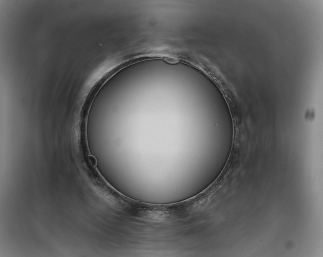 X0000101140344200807110948