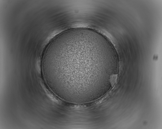 X0000101140345200807110948