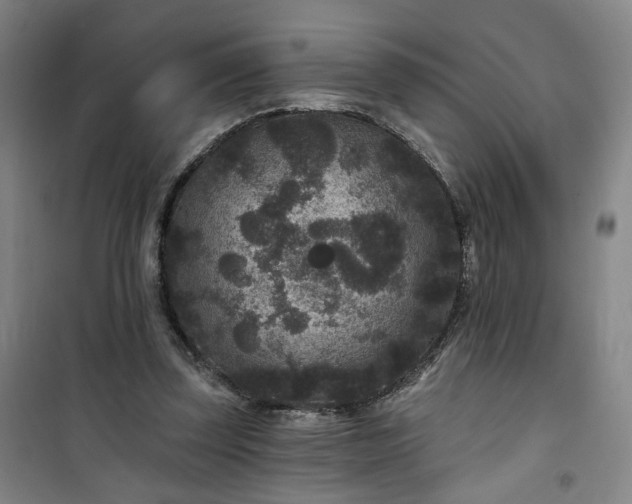 X0000101140347200807110948