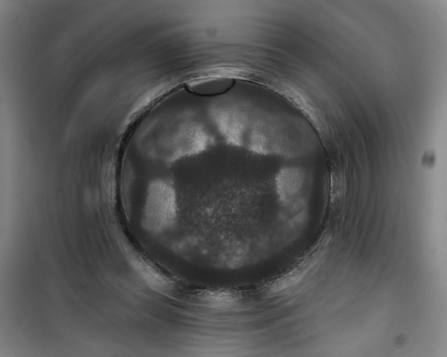 X0000101140349200807110948