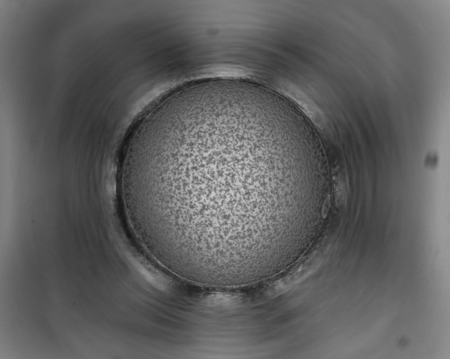 X0000101140350200807110948