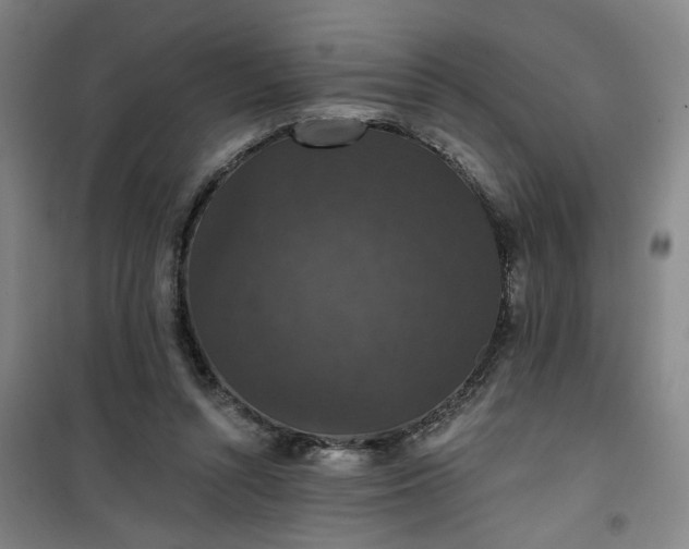 X0000101140352200807110948