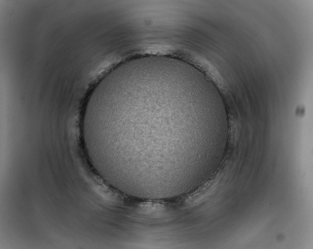 X0000101140354200807110948