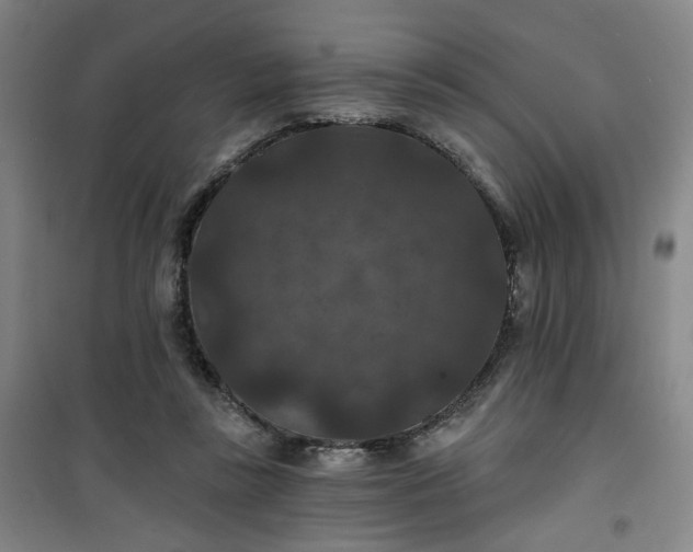 X0000101140355200807110948