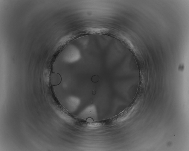 X0000101140357200807110948