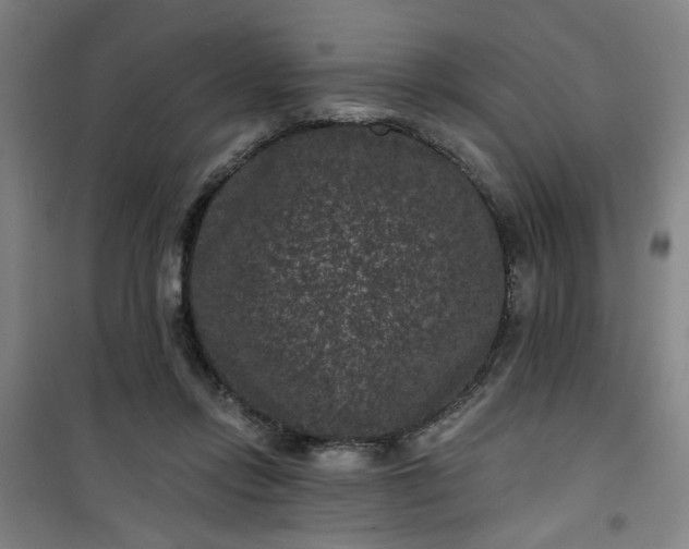 X0000101140358200807110948