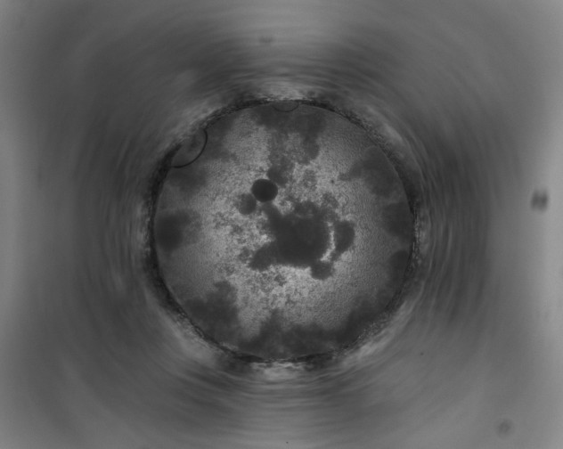 X0000101140359200807110948