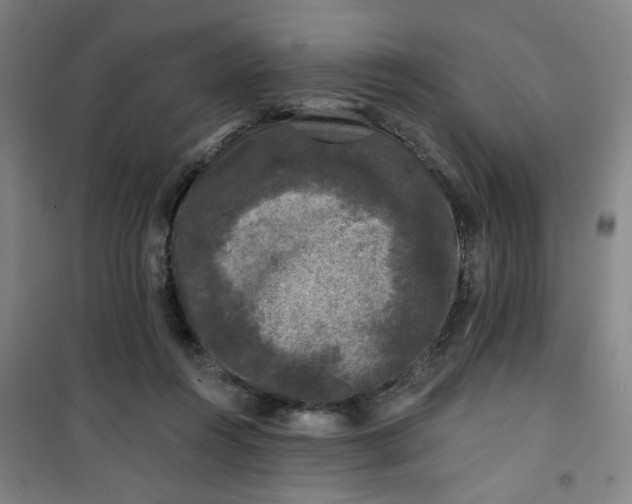 X0000101140360200807110948