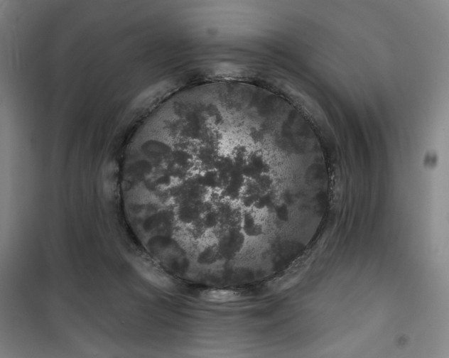 X0000101140361200807110948