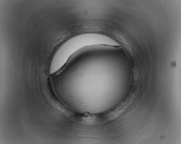 X0000101140362200807110948