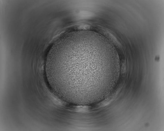 X0000101140363200807110948