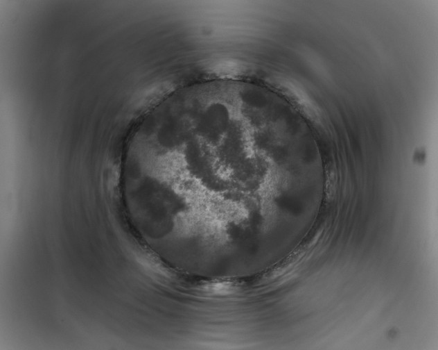 X0000101140365200807110948