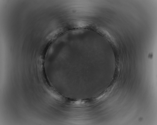 X0000101140366200807110948