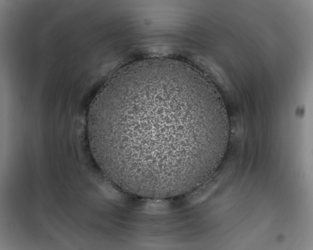 X0000101140369200807110948