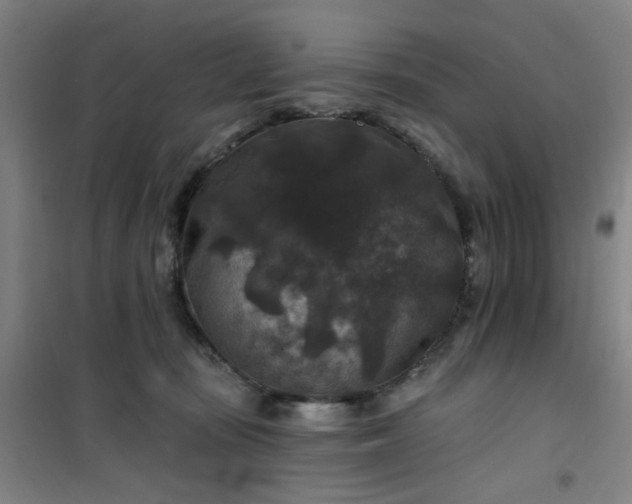 X0000101140371200807110948