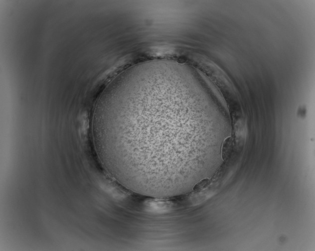 X0000101140372200807110948