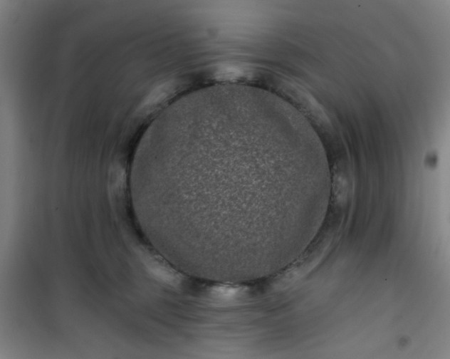 X0000101140375200807110948