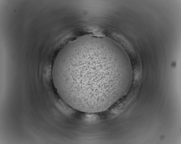 X0000101140376200807110948