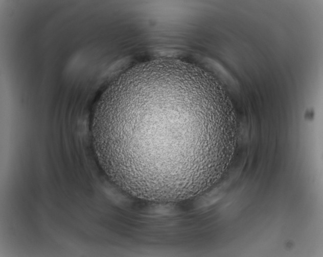 X0000101140377200807110948