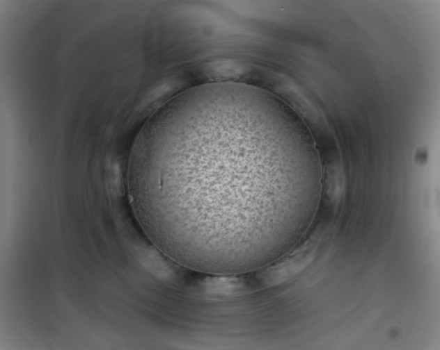 X0000101140378200807110948