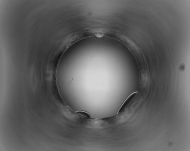 X0000101140379200807110948