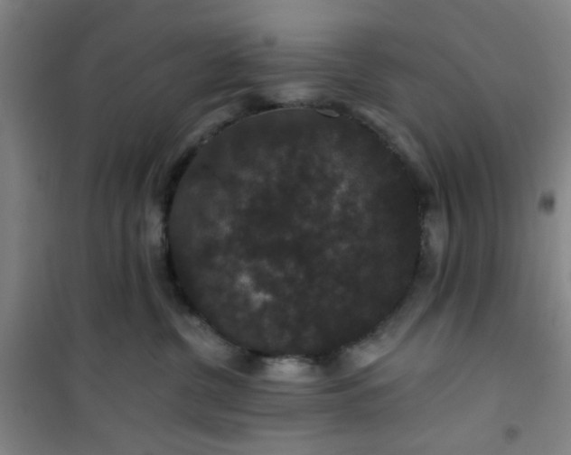 X0000101140380200807110948