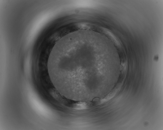 X0000101140381200807110948