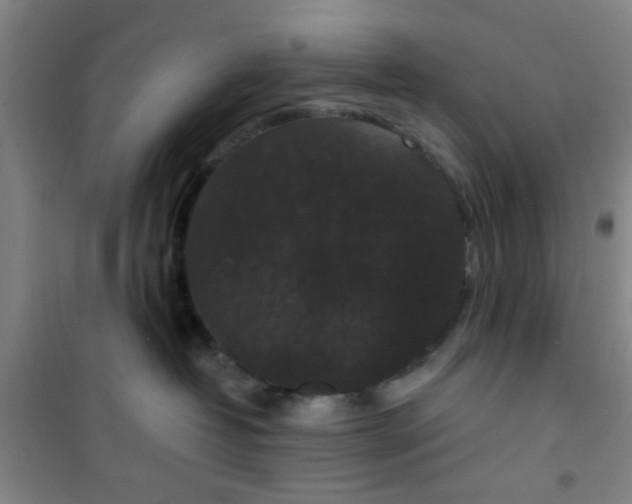 X0000101140382200807110948