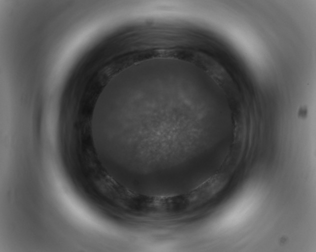 X0000101140383200807110948