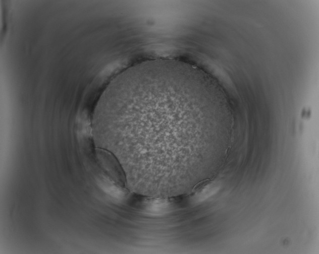 X0000101140384200807110948