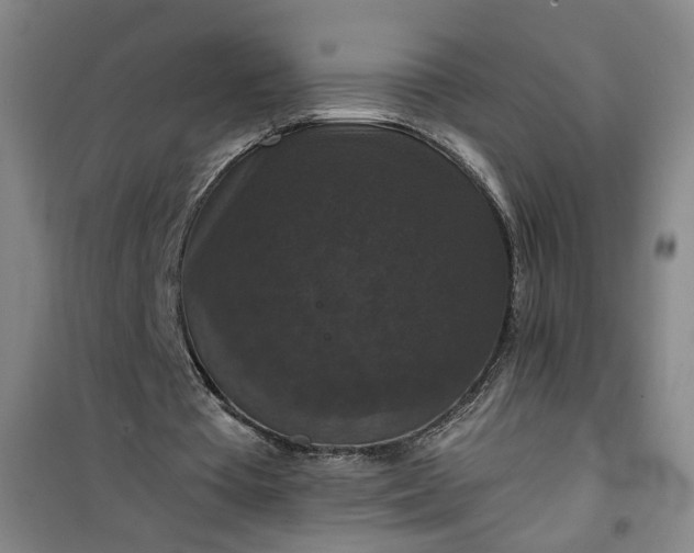 X0000101140385200807110948