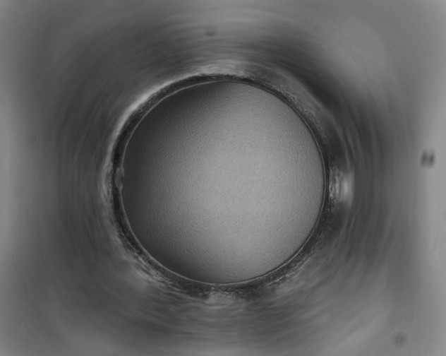 X0000101140388200807110948