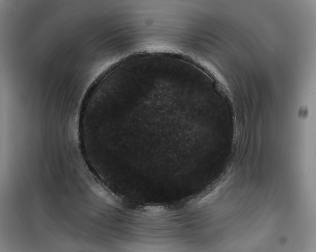 X0000101140391200807110947