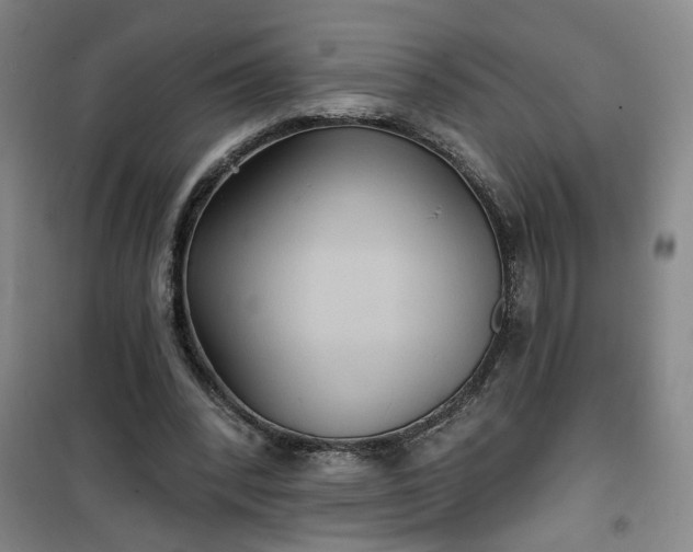 X0000101140392200807110947