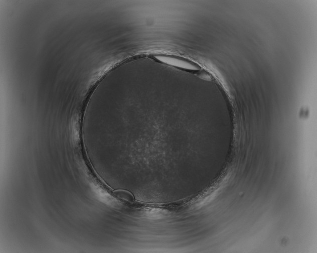 X0000101140393200807110947