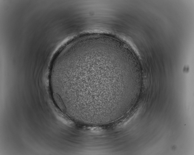 X0000101140395200807110947