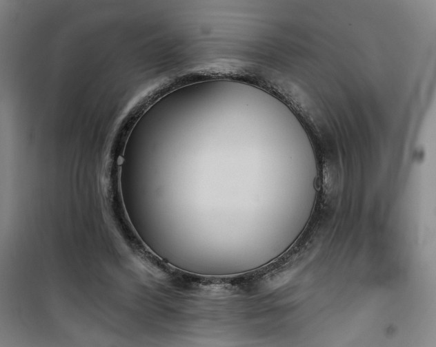 X0000101140396200807110947