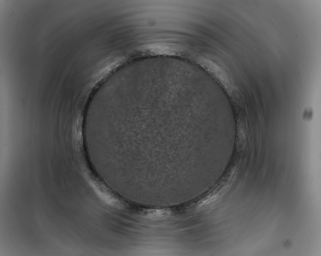 X0000101140398200807110947