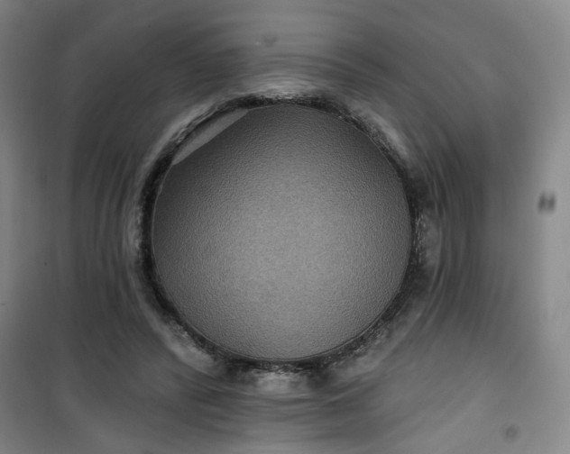 X0000101140400200807110947