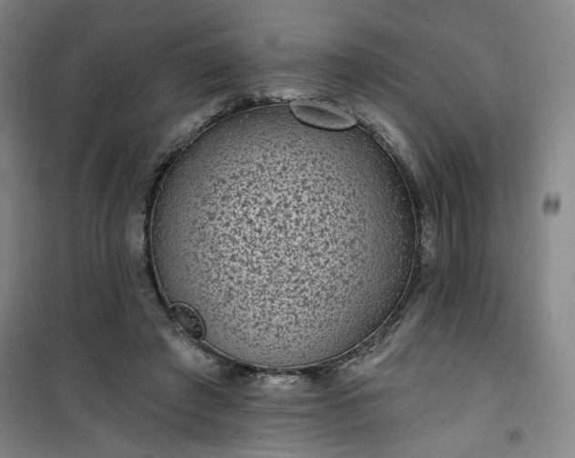 X0000101140401200807110947