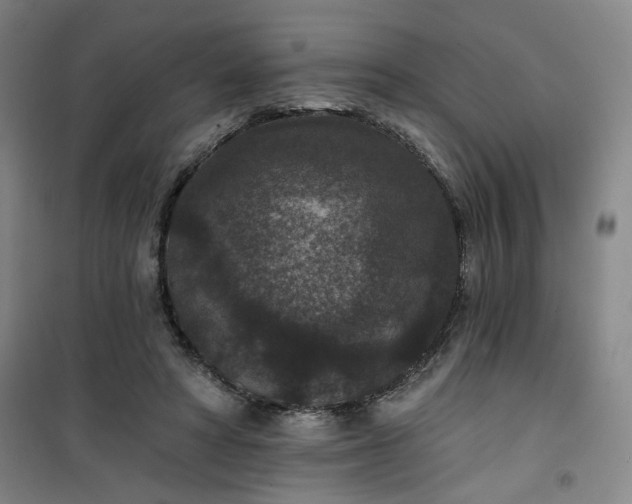 X0000101140402200807110947