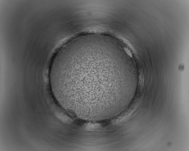 X0000101140403200807110947