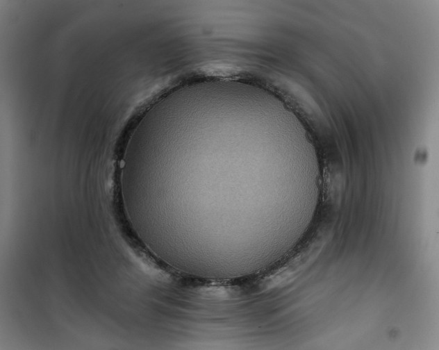 X0000101140404200807110947