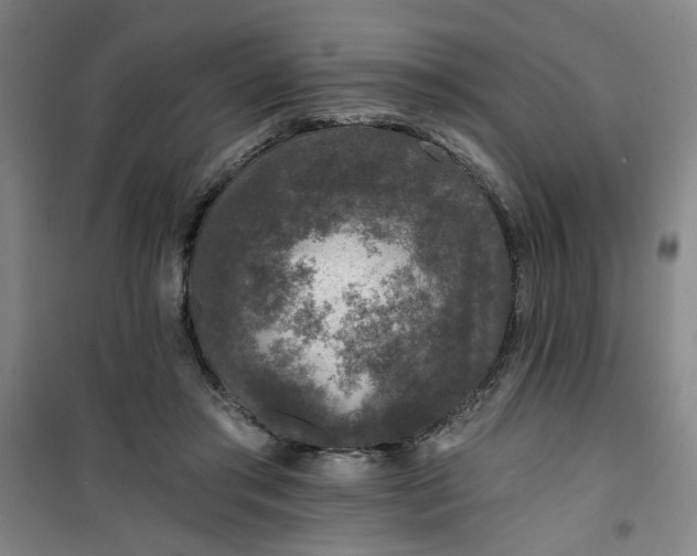 X0000101140405200807110947