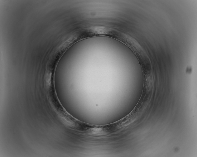 X0000101140406200807110947