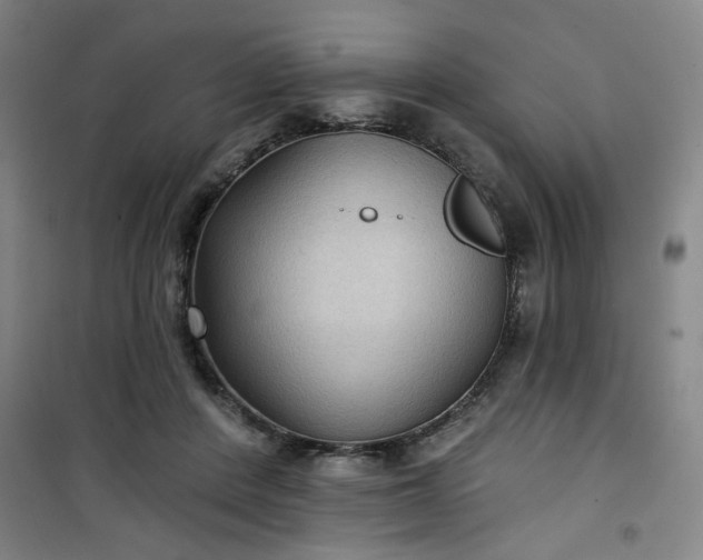 X0000101140408200807110947