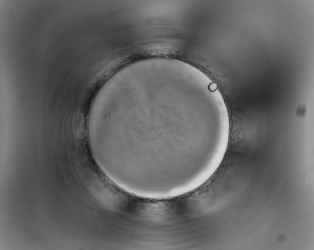 X0000101140411200807110947