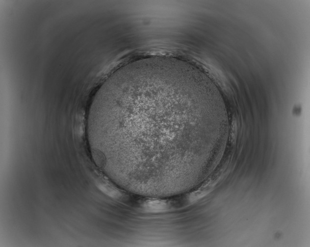 X0000101140413200807110947